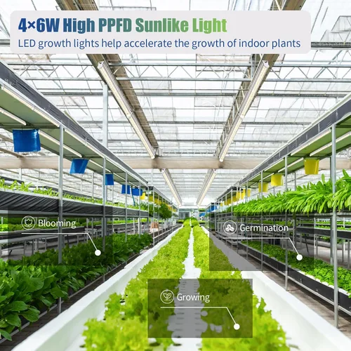 Miniatura 2 de RWNTAO Luces de cultivo para plantas de interior, espectro completo de 3000 K, lámpara de cultivo de plantas de 1 pie con interruptor lateral