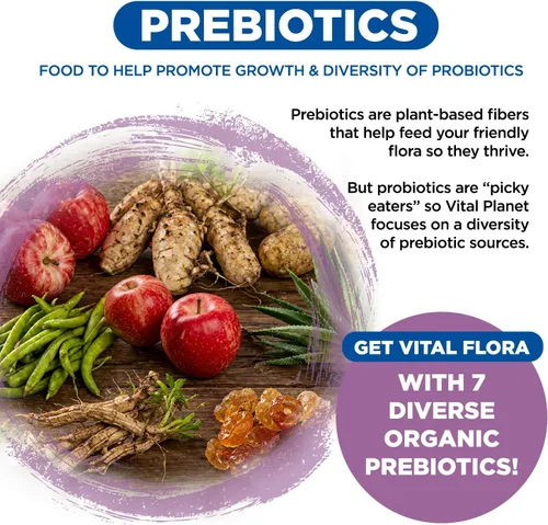 Miniatura 5 de Vital Planet - Vital Flora Probiótico diario para mujer, 60 mil millones de UFC, 60 cepas diversas, 7 prebióticos orgánicos, apoyo vaginal e