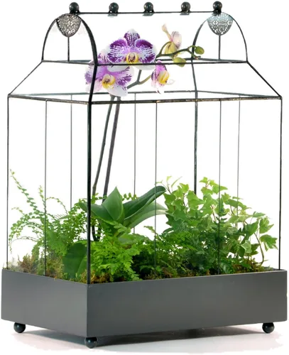 H Potter Estuche grande de terrario Wardian de vidrio con vidrio curvo, maceta de mesa para interior con base de metal, exhibición decorativa para