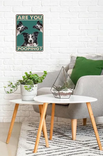 Miniatura 2 de Letrero de metal con texto en inglés "Dog Border Collie Are You Pooping", letrero vintage divertido retro de aluminio para el hogar, cocina, baño