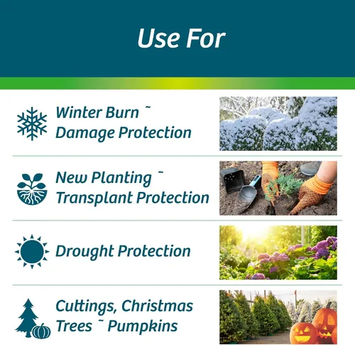 Miniatura 2 de Wilt-Pruf® Concentrado Protege contra daños en invierno, sequías y estrés Simplemente rocía y deja secar Bloquea la humedad con película