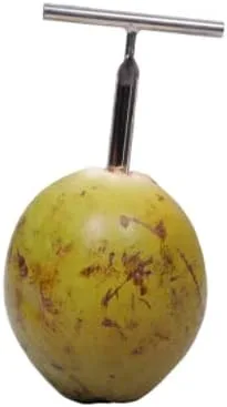 Miniatura 4 de Abridor de coco verde tierno de acero inoxidable de grado alimenticio, 1 paquete de 1