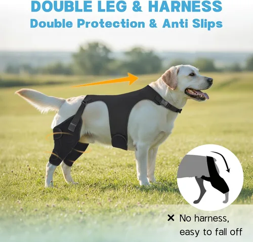 Miniatura 3 de Rodilleras para perro para pierna trasera, soporte ajustable para piernas con 2 estabilizadores, soporte de cadera para reducir el dolor, lesiones
