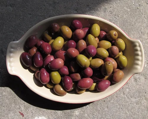 Miniatura 5 de Aceitunas Taggiasca - Benza - Liguria