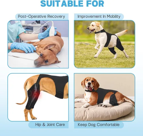 Miniatura 5 de Rodilleras para perro para pierna trasera, soporte ajustable para piernas con 2 estabilizadores, soporte de cadera para reducir el dolor, lesiones