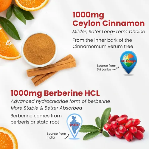 Miniatura 3 de Gomitas de Berberina con Canela de Ceilán 2000mg Sin Azúcar, Suplemento Orgánico de Berberina HCI con Canela de Ceilán, Melón Amargo, Té Verde