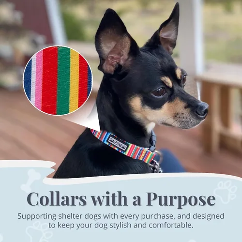 Miniatura 7 de Lucky Love Dog - Collar de perro ajustable con hebilla de fácil clic para los grandes, duradero y cómodo para perros machos y hembras, collar