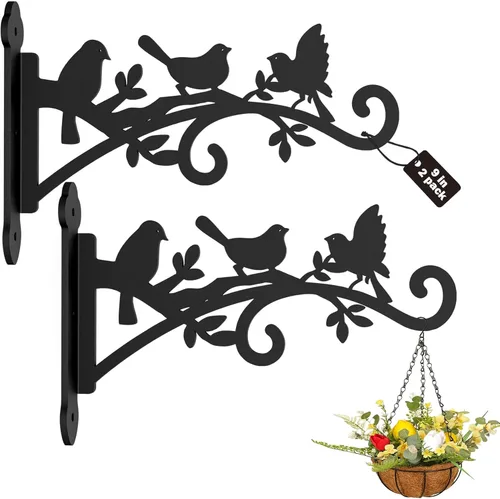 Paquete de 2 ganchos de pared colgantes para plantas de 9 pulgadas, ganchos de metal resistente para cestas de flores, comedero de pájaros, farol