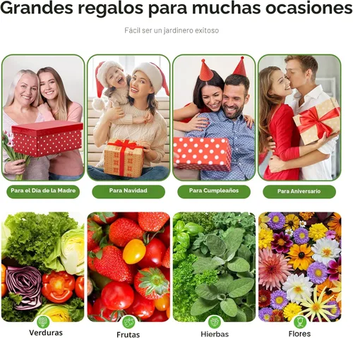 Miniatura 8 de Ahopegarden Sistema de cultivo hidropónico de jardín interior: Kit de germinación de plantas de 10 vainas, lámpara de crecimiento de hierbas y Negro
