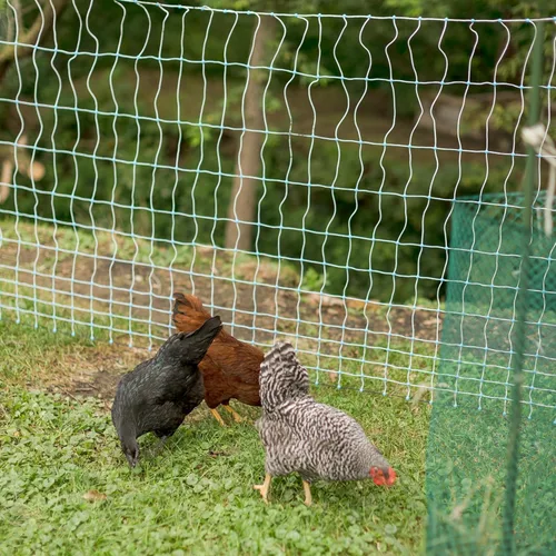Miniatura 3 de Red eléctrica trenzada premium Plus+ de 48 pulgadas x 100 pies para aves de corral (12/48/3) cercado eléctrico para patios traseros, granjas