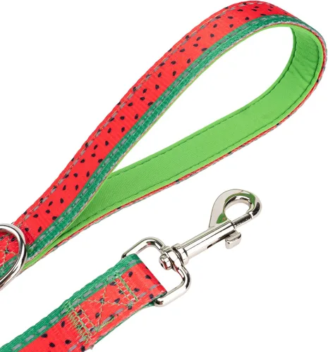 Miniatura 15 de EcoBark Correa para Perro - Correas Cómodas y Reflectantes con Asa Acolchada - Fuerte y Duradera de Alta Resistencia - Entrenamiento y Tiro