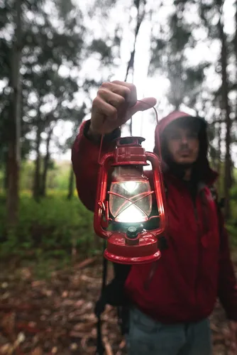 Miniatura 2 de Stansport Linterna LED de 9 pulgadas, rojo