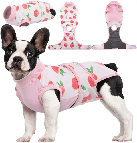 Miniatura 13 de Kuoser Traje de recuperación de cirugía para perros, traje de recuperación para perros machos hembras, mameluco para perro después de la cirugía