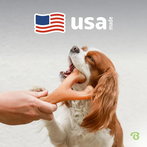 Miniatura 5 de Benebone Wishbone - Juguete masticable duradero para perros masticadores agresivos, tocino real, fabricado en Estados Unidos, mediano