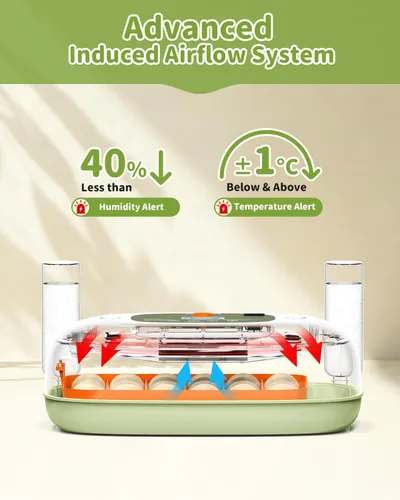 Miniatura 3 de Incubadora de huevos para 24 huevos de pollo con volteador automático, control digital de temperatura y pantalla de humedad, ovoscopio, incubadora