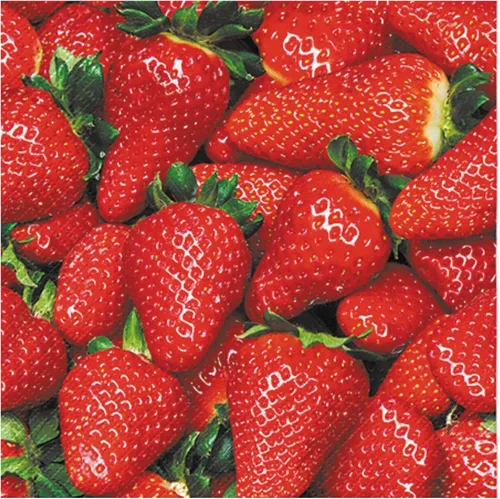 Miniatura 7 de Servilletas de papel de 20 unidades de 13 x 13 pulgadas, 3 capas, estampado de frutas y coco, para arte, cena y fiesta, servilletas desechables