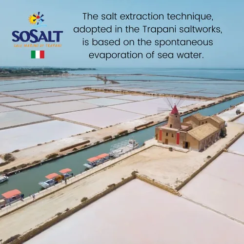 Miniatura 5 de SOSALT DAL MARE DI TRAPANI - Sal marina fina de Sicilia, (22.0 lbs) 22 lb Bolsa a granel para servicio de alimentos, todo natural, sal marina