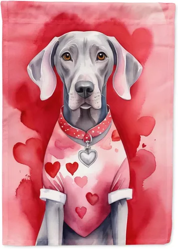 Miniatura 167 de Caroline's Treasures DAC5292CHF - Bandera de Border Collie My Valentine House para porche, grande, con manga para porche, para colgar en la pared
