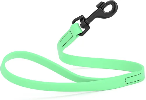Miniatura 49 de Dogline Biothane - Correa impermeable para perro, correa de nailon tejido con revestimiento fuerte, con herrajes negros, a prueba de olores, fácil