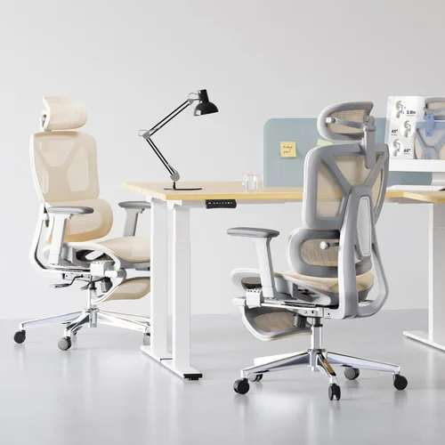 Miniatura 2 de FLEXISPOT ErgoX Premium - Silla de Oficina Ergonómica Premium con Reposapiés - Reposabrazos 3D Ajustables, Soporte Lumbar Dinámico, Función de Crema