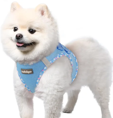 Miniatura 70 de rabbitgoo Arnés para perro pequeño, chaleco de malla suave para cachorros con hebilla de seguridad, arnés reflectante transpirable para mascotas