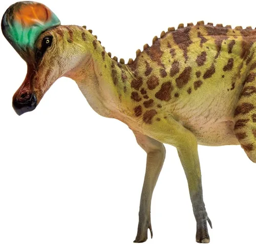 Miniatura 16 de PNSO Modelos de dinosaurios prehistóricos (36 Domingo The Carnotaurus)