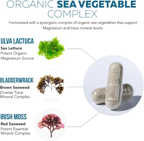 Miniatura 8 de Suplemento de magnesio orgánico de alimentos integrales - A base de plantas, complejo de vegetales marinos orgánicos - 250 mg por porción Extraído