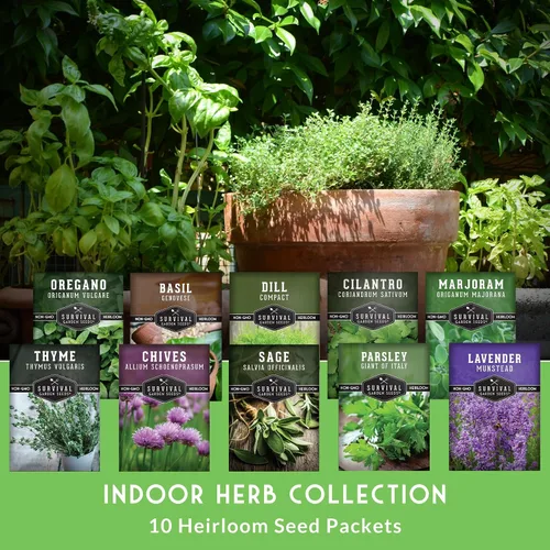 Miniatura 2 de Paquete variado de semillas de hierbas 10 hierbas culinarias para plantar – albahaca, cilantro, lavanda, eneldo, perejil, orégano, tomillo