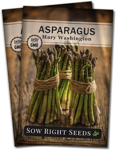 Sow Right Seeds - Semilla de espárragos Mary Washington para plantar - Paquete de reliquia sin OMG con instrucciones para plantar un huerto