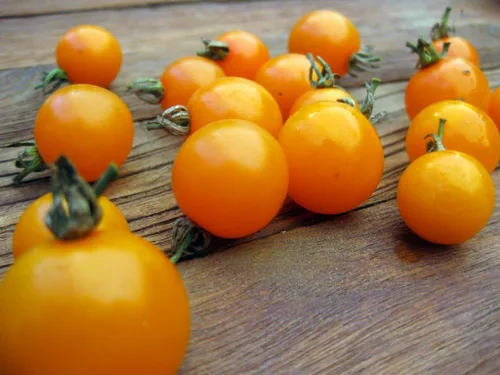 Miniatura 2 de Semillas Golden Cherry Tomate Indeterminado No GMO Vegetal para Plantar