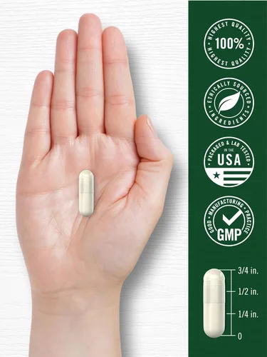 Miniatura 7 de Carlyle Extracto de hoja de gordolobo 200 cápsulas Verbascum Thapsus Suplemento sin OMG, sin gluten