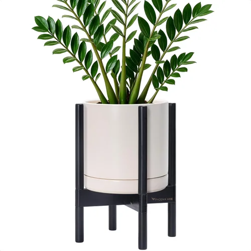 Miniatura 34 de D'vine Dev Maceta de cerámica con soporte de ébano – Maceta redonda moderna de 8 pulgadas con soporte para maceta de madera, color negro, 55-B-M-2