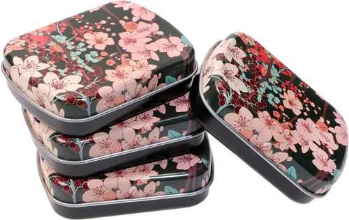 Mini Skater Pequeña caja de almacenamiento portátil de metal, mini latas rectangulares con bisagras vacías con tapa, organizador para el hogar para