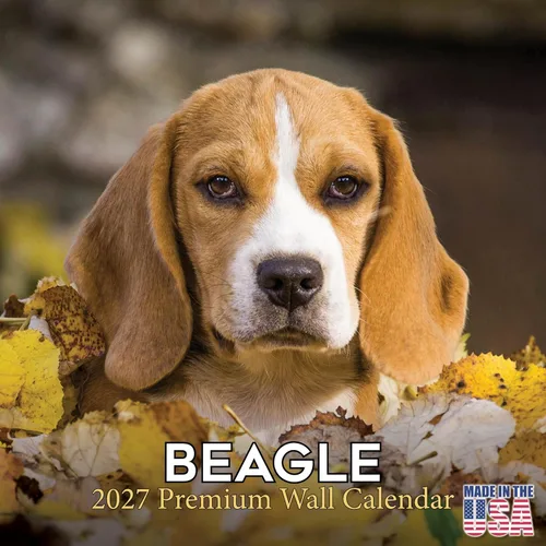 Miniatura 189 de Calendario 2025 2026 de cachorros Cocker Spaniel - Calendario mensual de pared de raza de perro - 12" x 24" abierto - Papel grueso sin sangrado