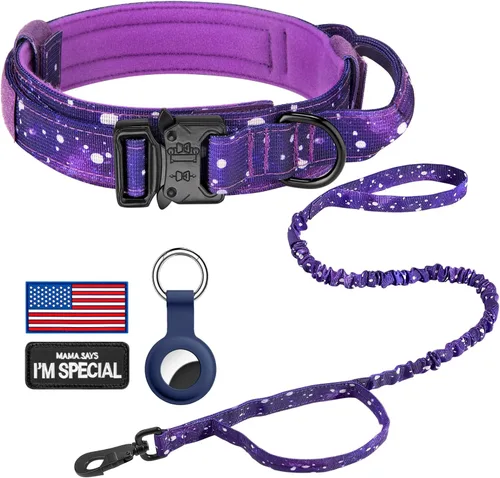 DAGANXI Collar táctico para perro, collar ajustable de nailon para entrenamiento militar con asa de control y hebilla de metal pesado para perros