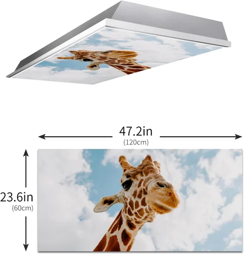 Miniatura 3 de Cubiertas de luz fluorescente para luces de techo de aula – Película retroiluminada de 2x4 pies para luminarias fluorescentes, fácil de instalar