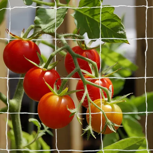 Miniatura 7 de Tcamp - Red de enrejado de poliéster resistente para jardín, para plantas trepadoras, enrejado para enredaderas, plantas de vid, verduras, frutas