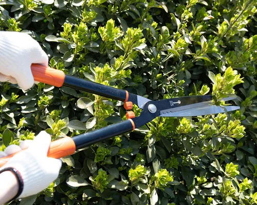 Miniatura 6 de Sanung Tijeras de setos de jardín resistentes con mango de aleación de aluminio 8510, podadora de setos para recortar podas de arbustos pequeños