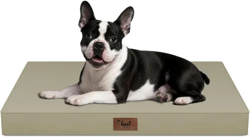 Miniatura 135 de Cama ortopédica de felpa para perros y cachorros medianos, camas impermeables para perros de 30 x 20 pulgadas con funda extraíble lavable, tapete