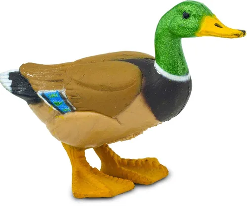 Miniatura 7 de Safari Ltd. Figura de pato real pintada a mano, realista de 3 pulgadas, juguete educativo divertido para niños, niñas y niños a partir de 3 años