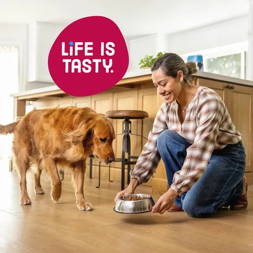 Miniatura 6 de Kibbles 'n Bits Bistro - Alimento seco para perros, carne asada al horno, vegetales de primavera y manzana, sabores para perros adultos, bolsa