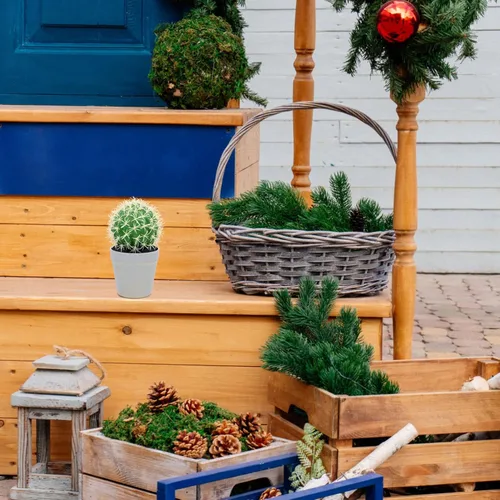 Miniatura 3 de HOMSFOU Cactus en maceta, adornos de oficina, plantas de interior para interiores, macetas pequeñas para interiores, bonsáis de imitación de cactus