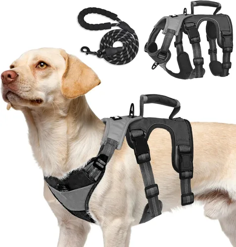 Miniatura 8 de PUPTECK Juego de arnés y correa para perro a prueba de escape, chaleco reflectante sin tirones con asa de elevación, arnés para mascotas de fácil