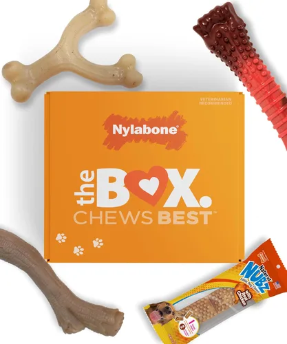 Miniatura 10 de Nylabone Caja de Regalo para Cachorros, Incluye 3 Fuertes Juguetes para Masticación de Cachorros y 1 Hueso de Golosina Natural para Cachorros