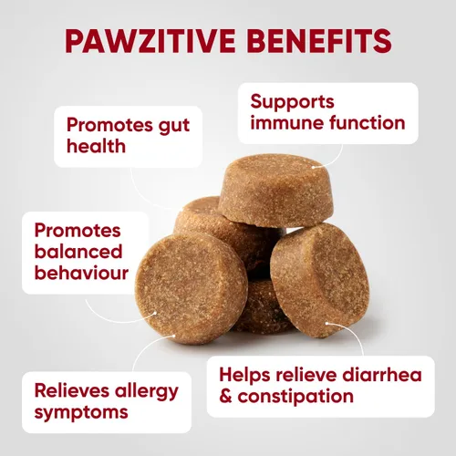 Miniatura 3 de Probióticos para la salud digestiva de los perros, masticables probióticos para la salud intestinal, levadura con picazón en la piel, diarrea