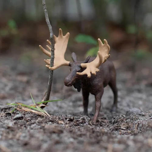 Miniatura 2 de Safari Ltd. Figura de alce – Figura de animal realista de 5 pulgadas – Juguete educativo para niños, niñas y niños a partir de 1 año