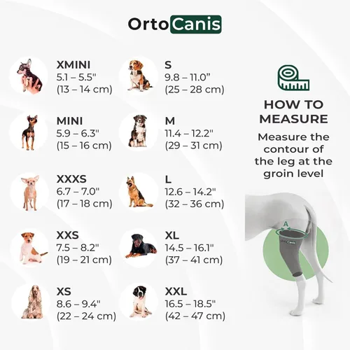 Miniatura 5 de Ortocanis Inmovilizador de rodilla para perros con férulas de aluminio - Soporte de pierna trasera derecha para luxación de rótula, lesiones