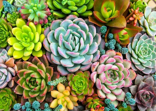 Miniatura 25 de HUADADA Rompecabezas para adultos de 1000 piezas, base de fabricación entrelazada perfectamente sin polvo, decoración del hogar, juguetes de desafío