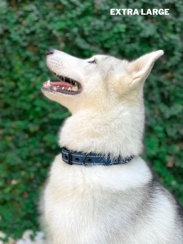 Miniatura 8 de Tuff Pupper Collar de perro resistente con asa Collar de nailon balístico resistente Collar de perro reflectante acolchado con herrajes de acero