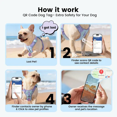 Miniatura 7 de Arnés para perro sin tirones a prueba de fugas para perros pequeños y cachorros, chaleco ligero ajustable con clip frontal y trasero, bolsillo